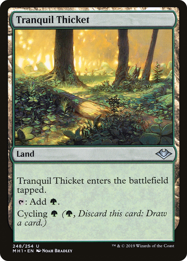 Tranquil Thicket (MH1-248) - uncommon - Foil