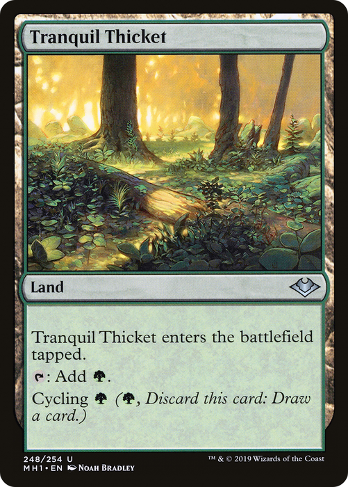 Tranquil Thicket (MH1-248) - uncommon - Foil