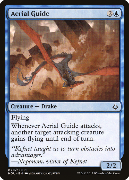 Aerial Guide (HOU-029) - common - Foil