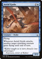 Aerial Guide (HOU-029) - common