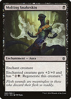 Molting Snakeskin (KTK-080) - common