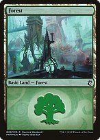 Forest (LARP-B09) - common - Foil
