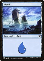 Island (CMR-506) - common