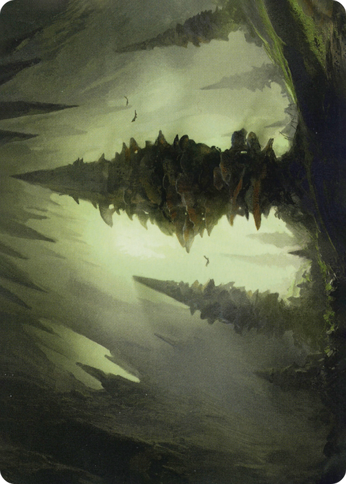 Forest // Forest (AAFR-055) - common (Borderless) - Foil