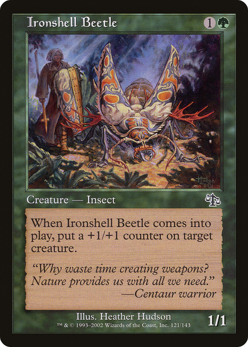 Ironshell Beetle (JUD-121) - common