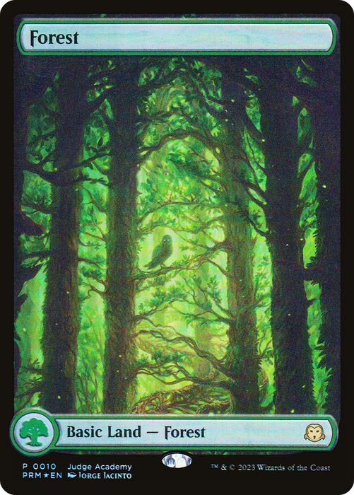 Forest (JDG-010) - rare: (Full Art) - Foil