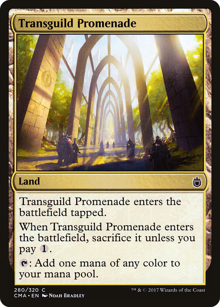 Transguild Promenade (CMA-280) - common
