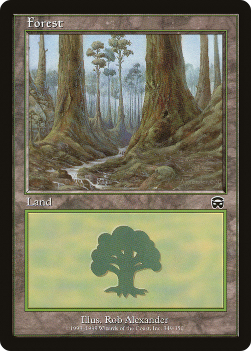 Forest (MMQ-349) - common