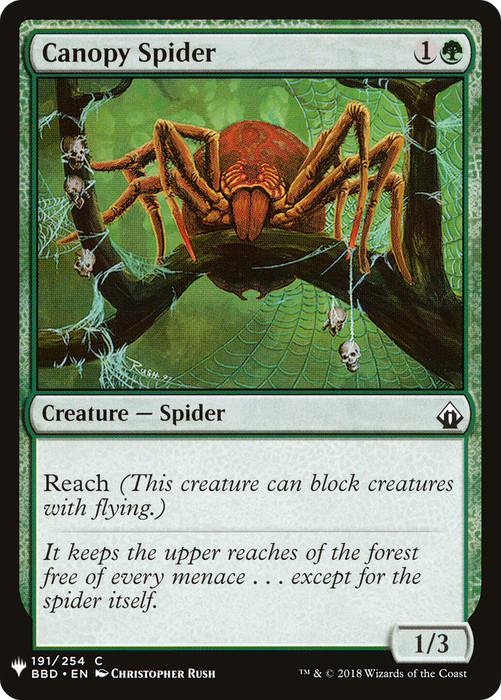 Canopy Spider (LIST-BBD-191) - common