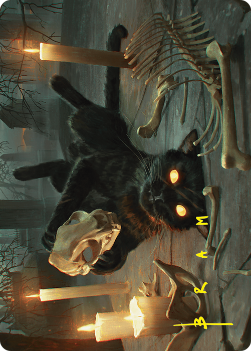 Nine-Lives Familiar // Nine-Lives Familiar (AFDN-008) - common (Borderless) - Foil