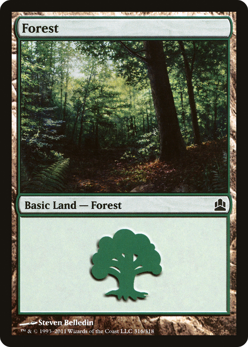 Forest (CMD-316) - common