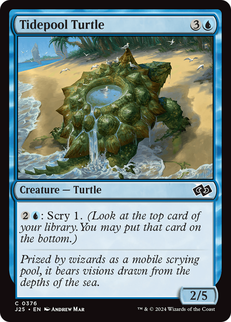 Tidepool Turtle (J25-376) - common