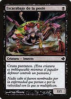 Plague Beetle (PS11-080) - common