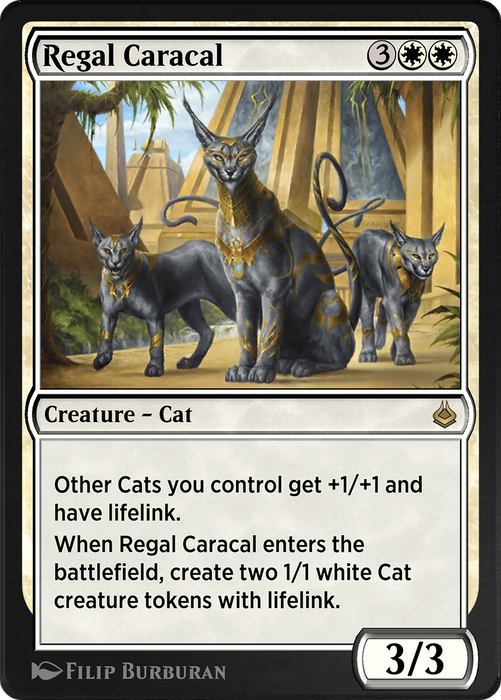 Regal Caracal (AKR-339) - rare