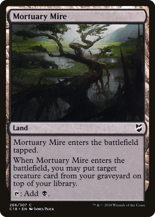 Mortuary Mire (C18-266) - common