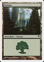 Forest (PSAL-K23) - common