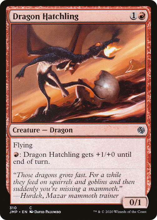Dragon Hatchling (JMP-310) - common