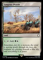 Sungrass Prairie (PIP-295) - rare