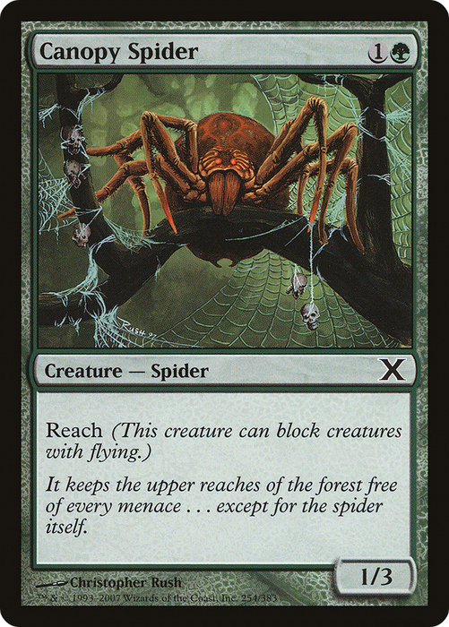 Canopy Spider (10E-254) - common