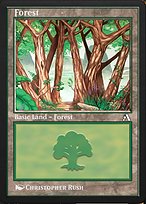 Forest (ANA-034) - common