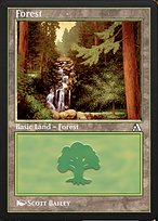 Forest (ANA-018) - common