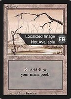 Swamp (FBB-299) - common