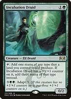 Incubation Druid (PPM20-131P) - rare - Foil
