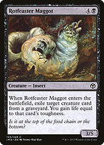 Rotfeaster Maggot (IMA-105) - common
