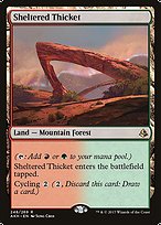 Sheltered Thicket (AKH-248) - rare