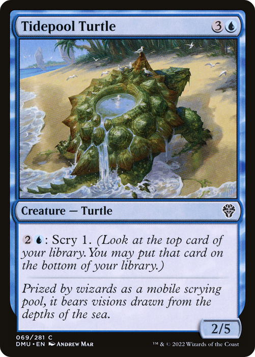 Tidepool Turtle (DMU-069) - common