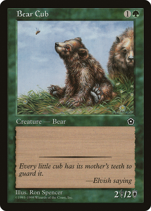 Bear Cub (P02-123) - common