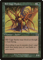 Rib Cage Spider (PCY-121) - common