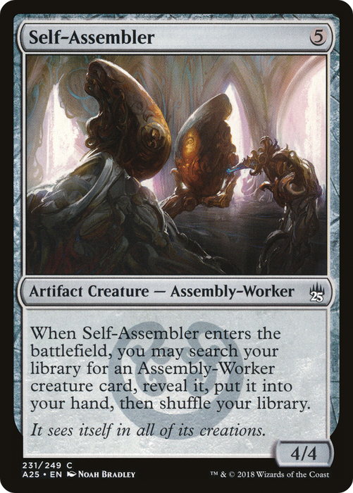 Self-Assembler (A25-231) - common