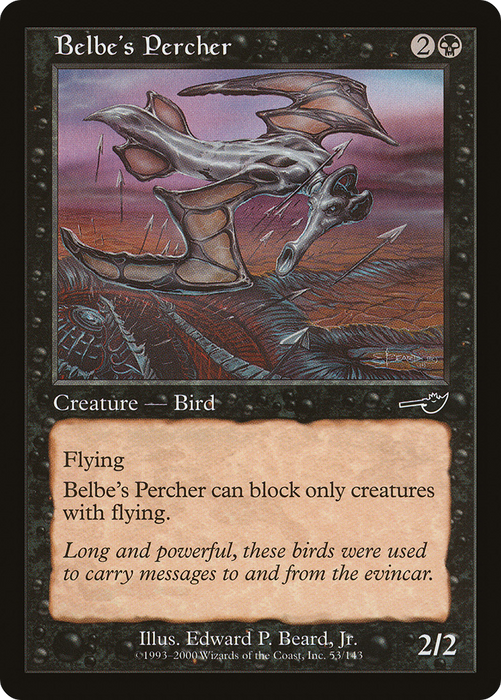 Belbe's Percher (NMS-053) - common