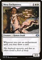Mesa Enchantress (DMR-014) - uncommon - Foil