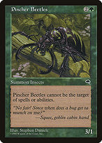 Pincher Beetles (TMP-244) - common