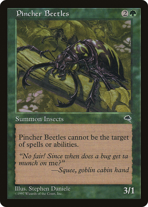 Pincher Beetles (TMP-244) - common