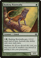 Basking Rootwalla (DDD-002) - common