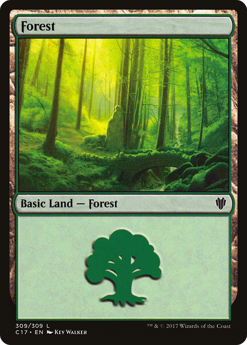 Forest (C17-309) - common