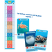 Défis Nature Junior: Merveilles de la Mer (français)
