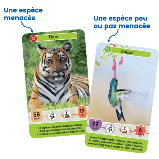 Défis Nature Junior: Mystères de la Jungle (français)