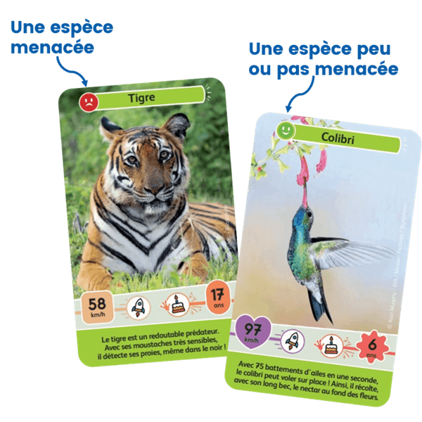 Défis Nature Junior: Mystères de la Jungle (français)