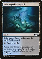 Submerged Boneyard (M19-257) - common