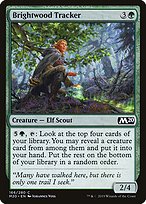Brightwood Tracker (M20-166) - common - Foil