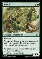 Brawn (M3C-224) - uncommon - Foil