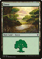 Forest (C16-349) - common