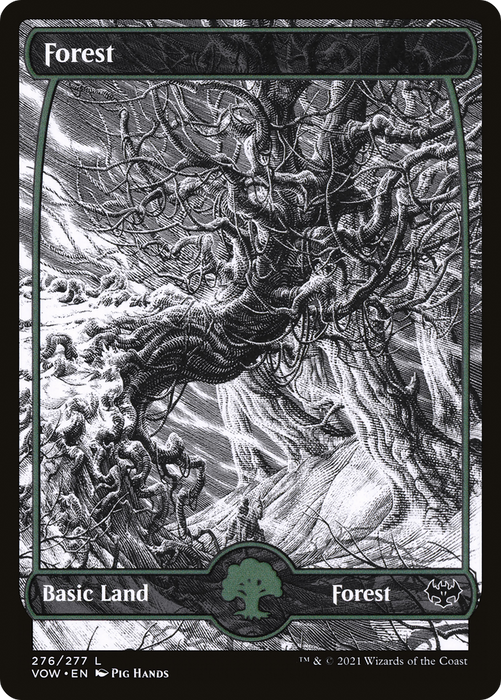 Forest (VOW-276) - common: (Showcase) - Foil