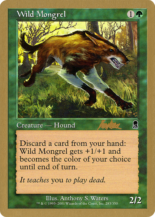 Wild Mongrel (WCD-BK283) - common