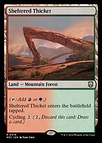 Sheltered Thicket (M3C-374) - rare - Foil