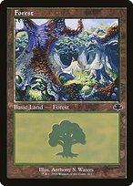 Forest (DMR-411) - common